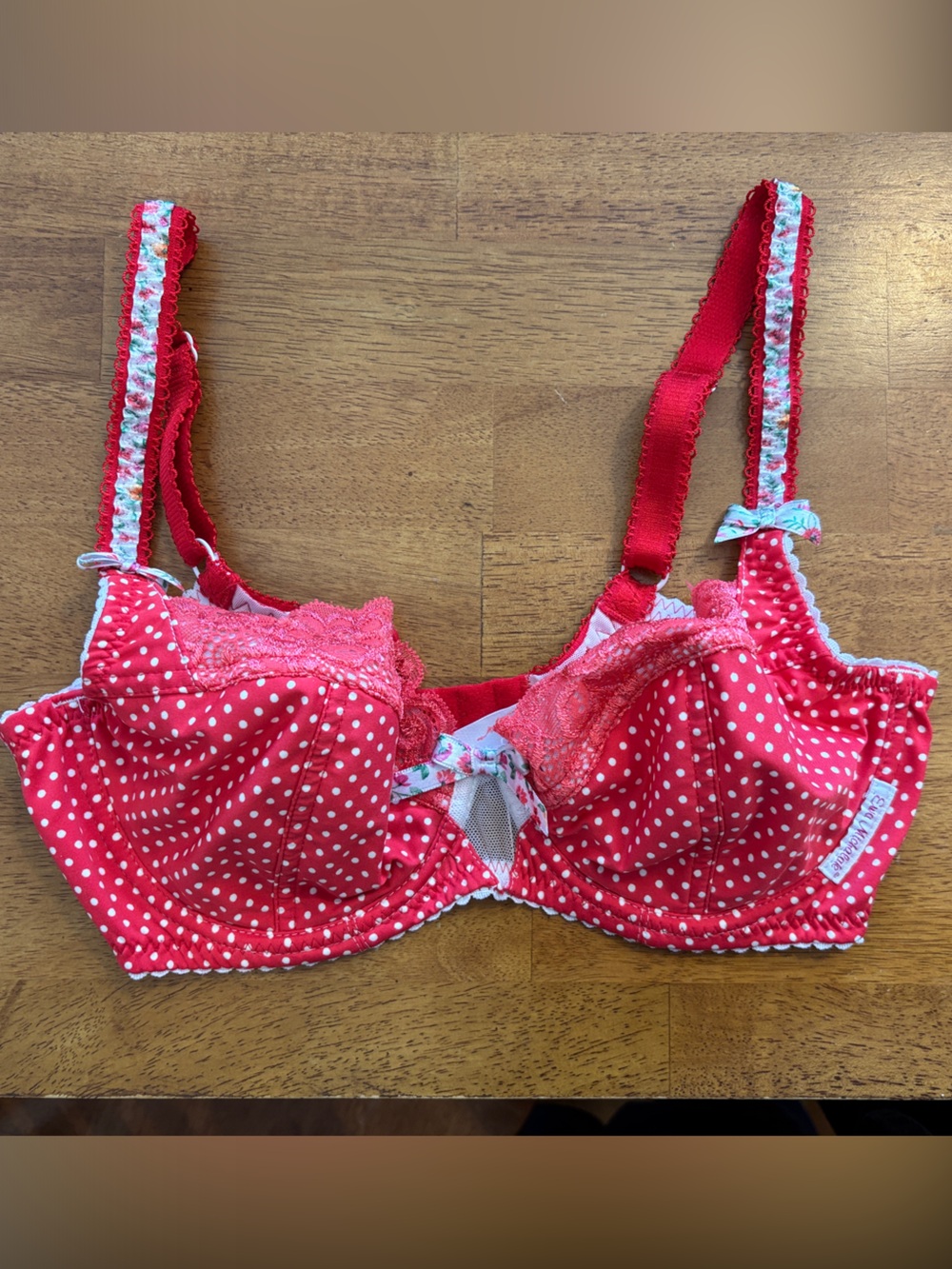 Ewa Michalak BM Pinup Red Polkadot in 70DD